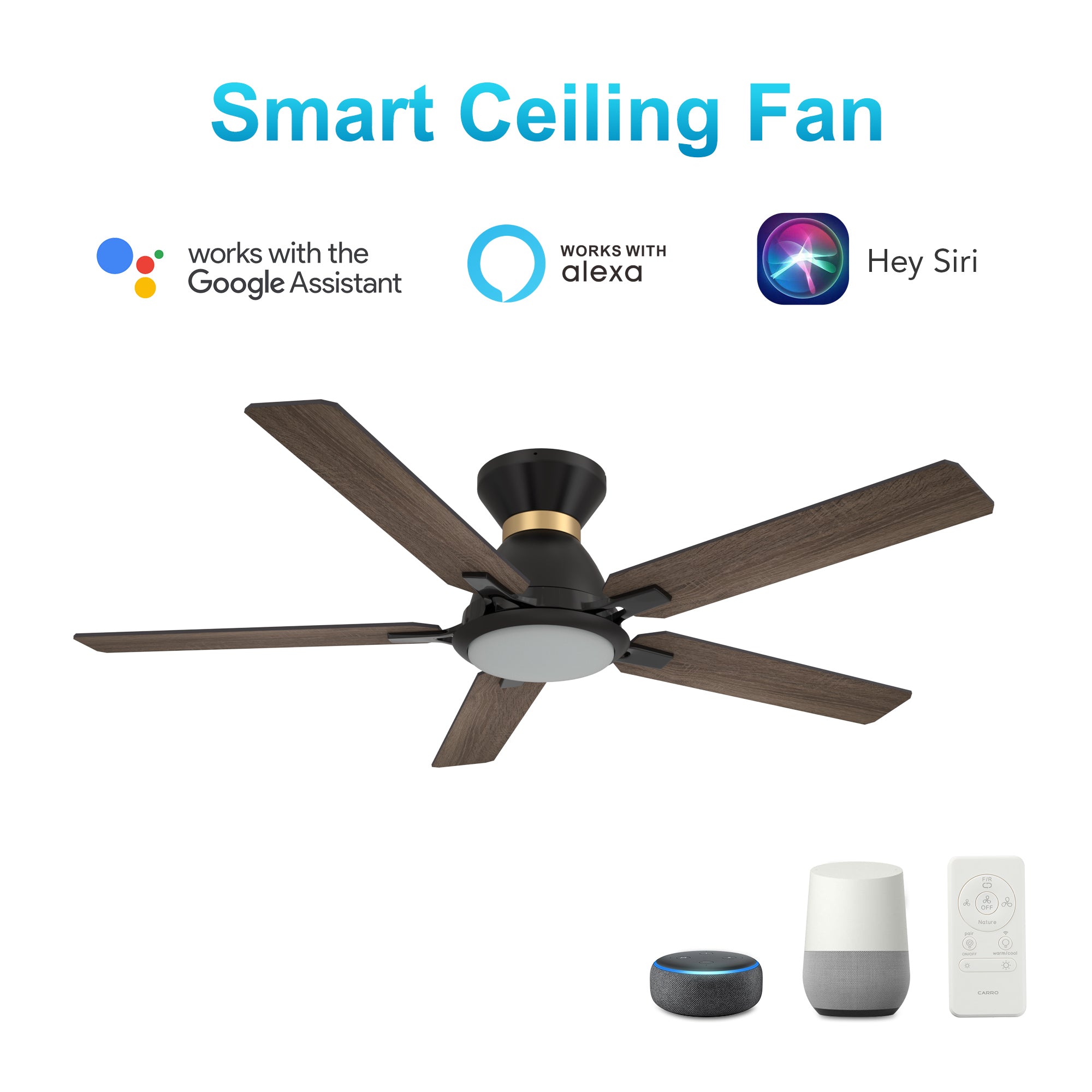 CARRO® ESPEAR 24VDC 5-Blade Smart Ceiling Fan with LED Light Kit & Remote – Matte Black *Free Shipping*