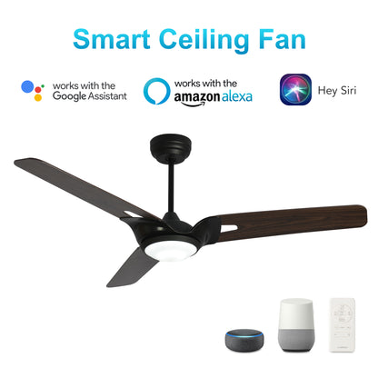 CARRO® HOFFEN 24VDC 3-Blade Smart Ceiling Fan with LED Light Kit & Remote – Matte Black  / Dark Walnut *Free Shipping*