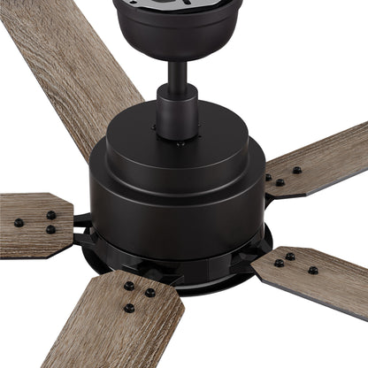 CARRO® ESPEAR 48VDC 5-Blade Smart Ceiling Fan with LED Light Kit & Remote – Matte Black/Weathered Walnut